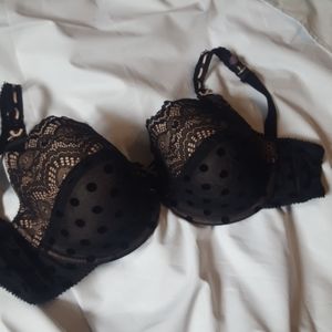 Paramour bra polka dot
